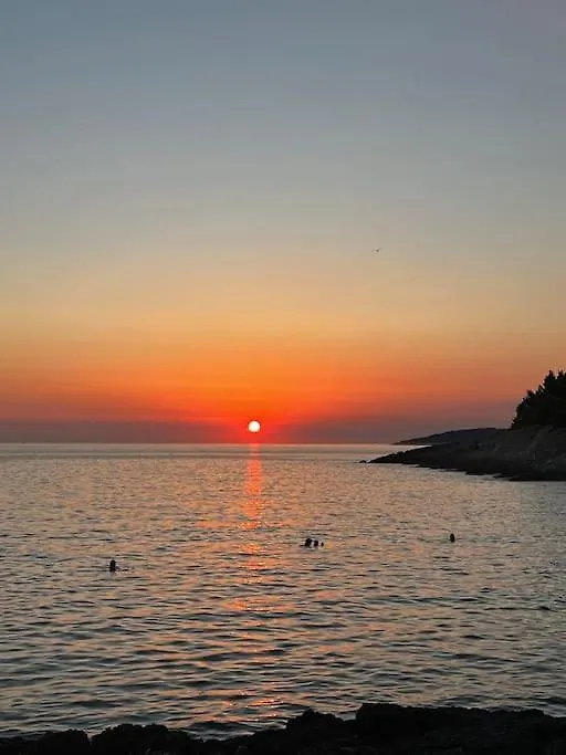 Apartment Laurus Premantura 0*,  Croatia