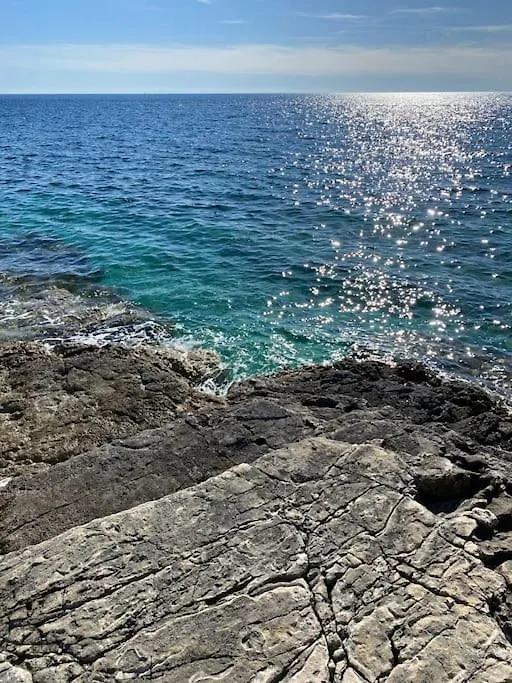 Apartment Laurus Premantura 0*,  Croatia